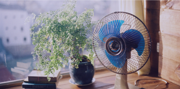 Blue desk fan and green potted plant on a sunny windowsill
