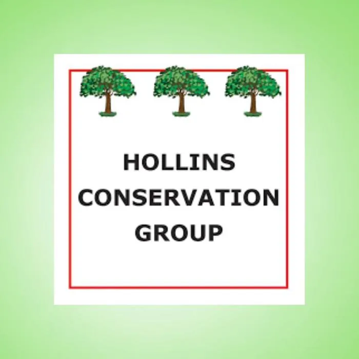 hollins-cg