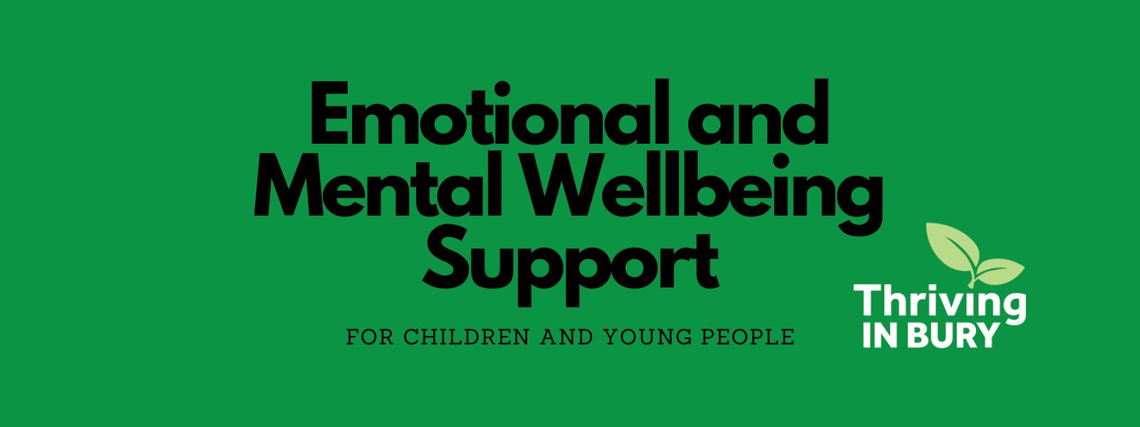 Children and Young People's Emotional and Mental Wellbeing Support Padlets’