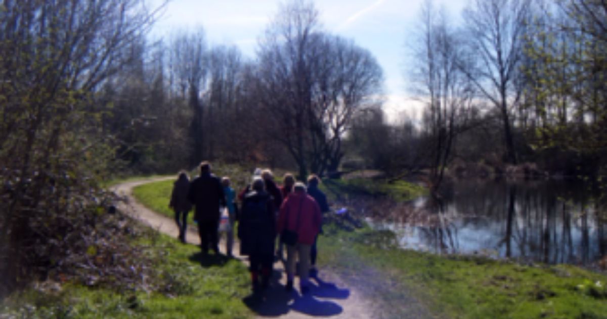 a group of adults taking a stroll through the countryside along a winding path, alongside a calm pond