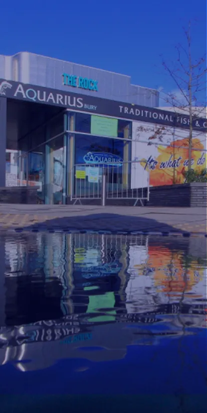 a photograph of the rock shopping centre and a business premises with the reflection in a puddle