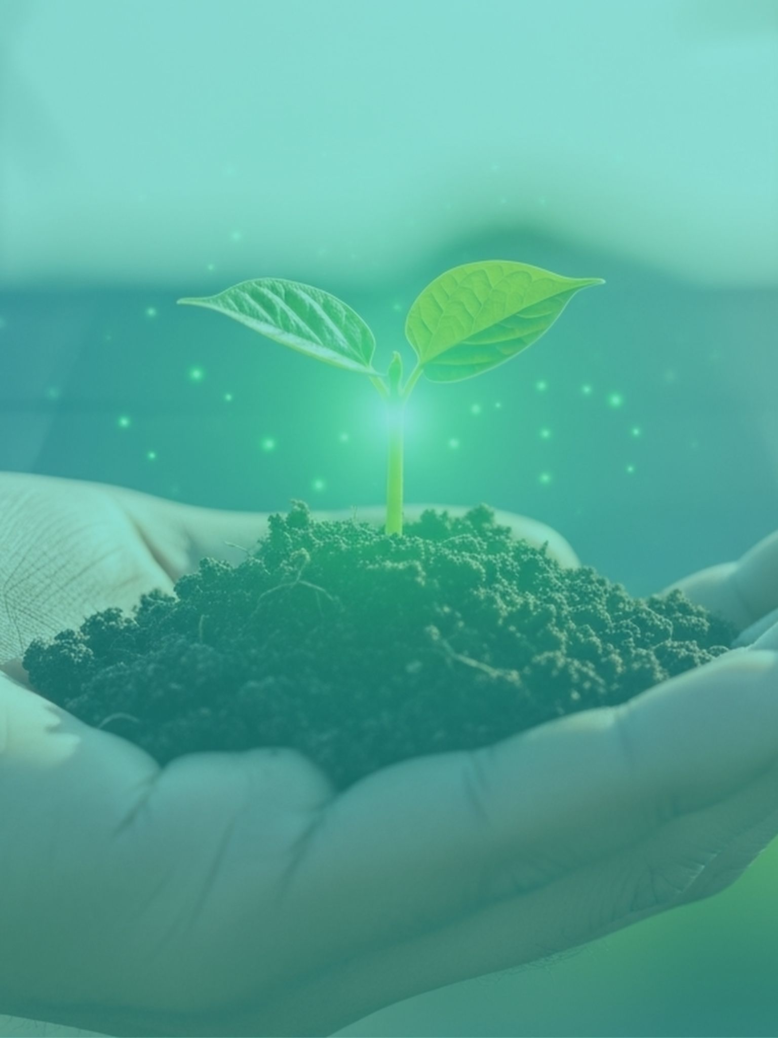 a hand holds out a small mound of soil with a green plant sprouting